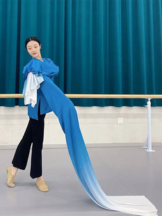 女 演出服套装 中国古典舞京剧目水袖 舞蹈服身韵基训练功服艺考水袖