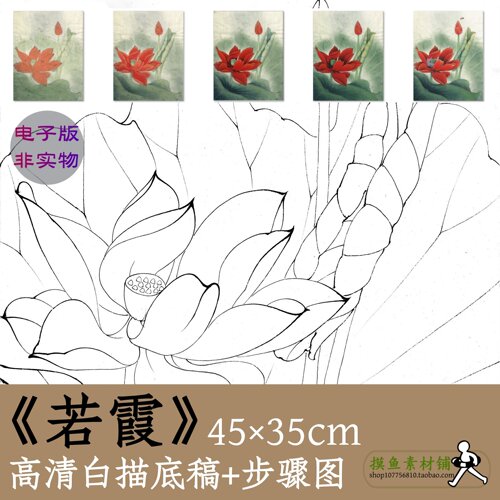 中国画工笔花鸟画荷花图电子版白描线稿勾线稿素材若霞x074