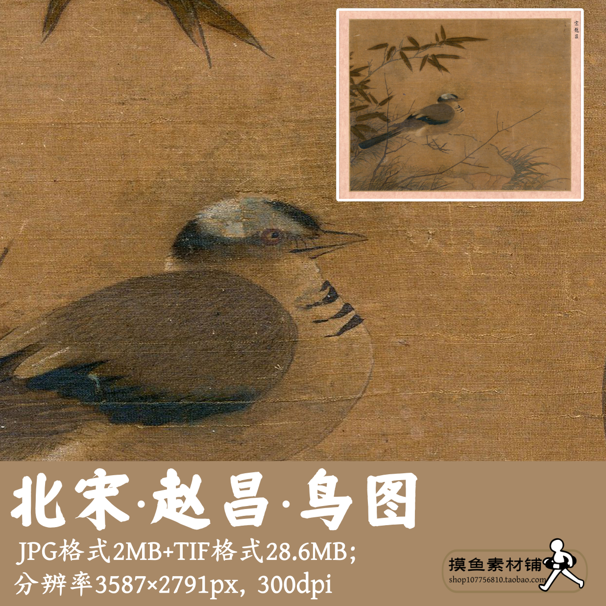 赵昌鸟图电子图片素材/中国画工笔花鸟画写生鸟装饰挂画芯g14224图片