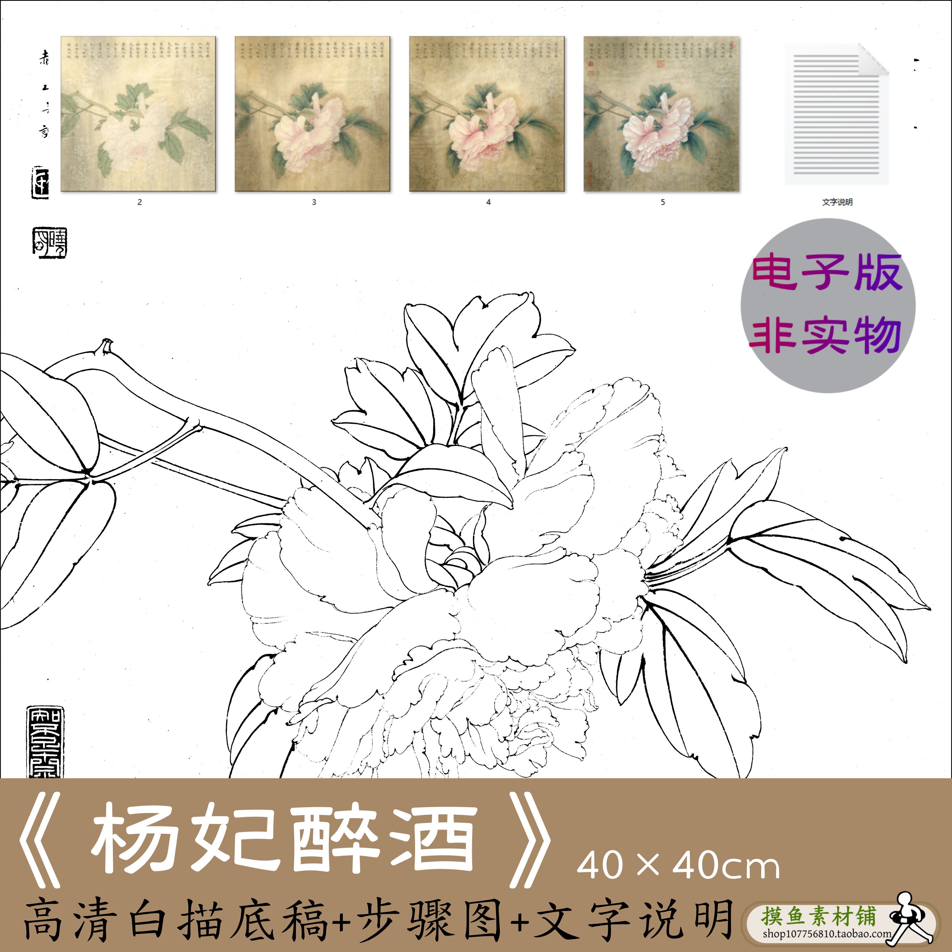 电子版白描工笔画底稿粉色牡丹 临摹勾线稿带步骤图文字说明x101