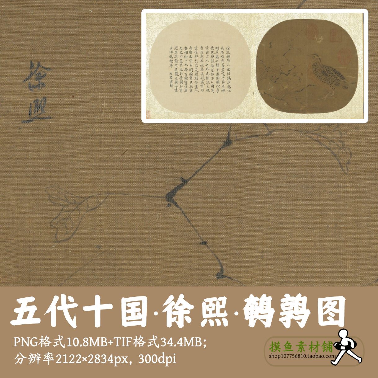 五代十国徐熙/鹌鹑图/工笔花鸟图页电子版古画设计素材临摹g13514