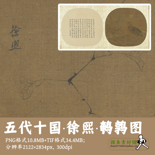 五代十国徐熙/鹌鹑图/工笔花鸟图页电子版古画设计素材临摹g13514