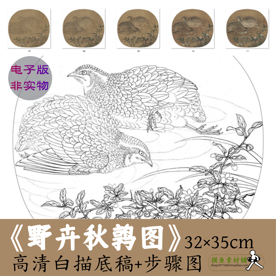 工笔花鸟野卉秋鹑图国画竹子鹌鹑临摹素材电子版勾线稿高清临摹