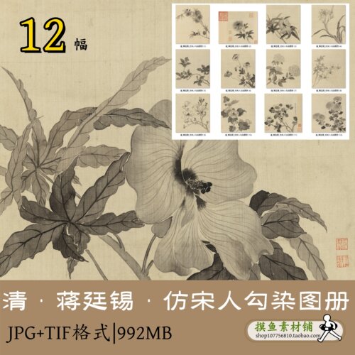 清代画家蒋廷锡仿宋人勾染图册gd16201国画册页植物水墨画集花卉