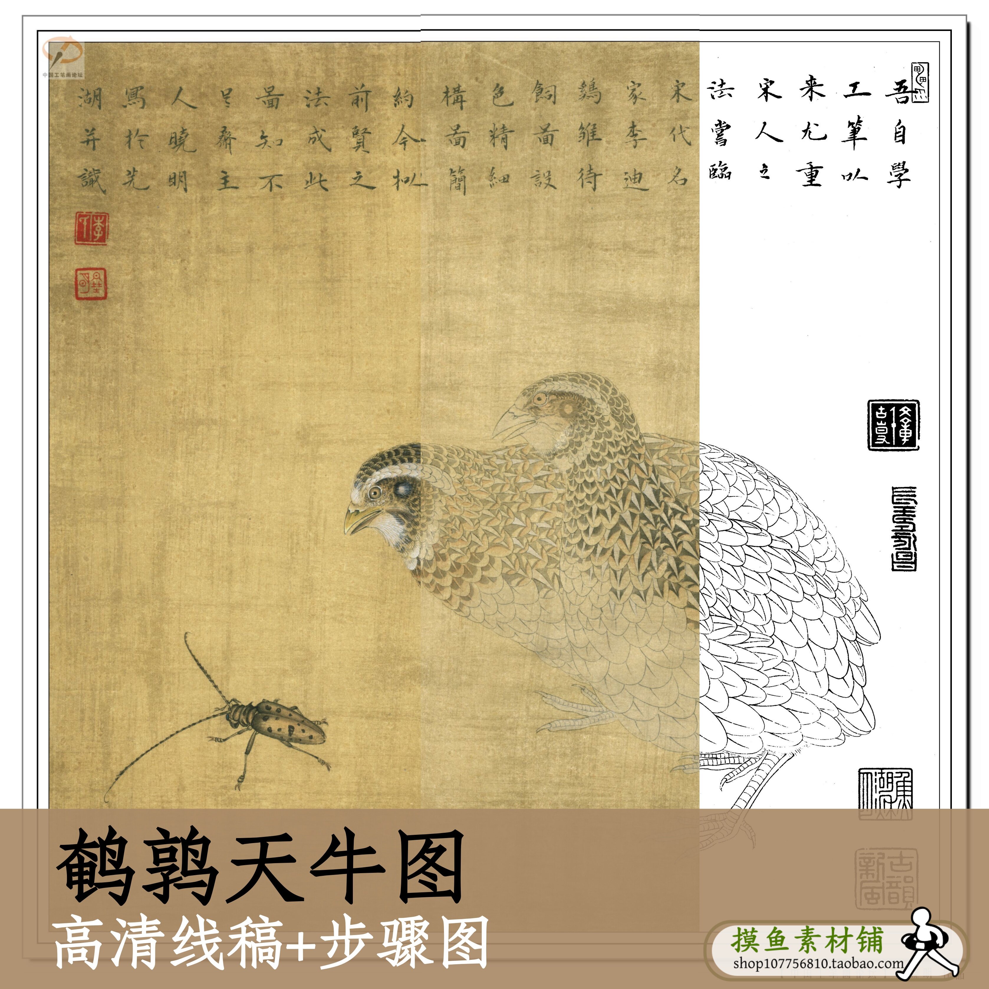 鹌鹑天牛图/高清白描线稿+步骤图电子版/国画工笔花鸟装饰画x211