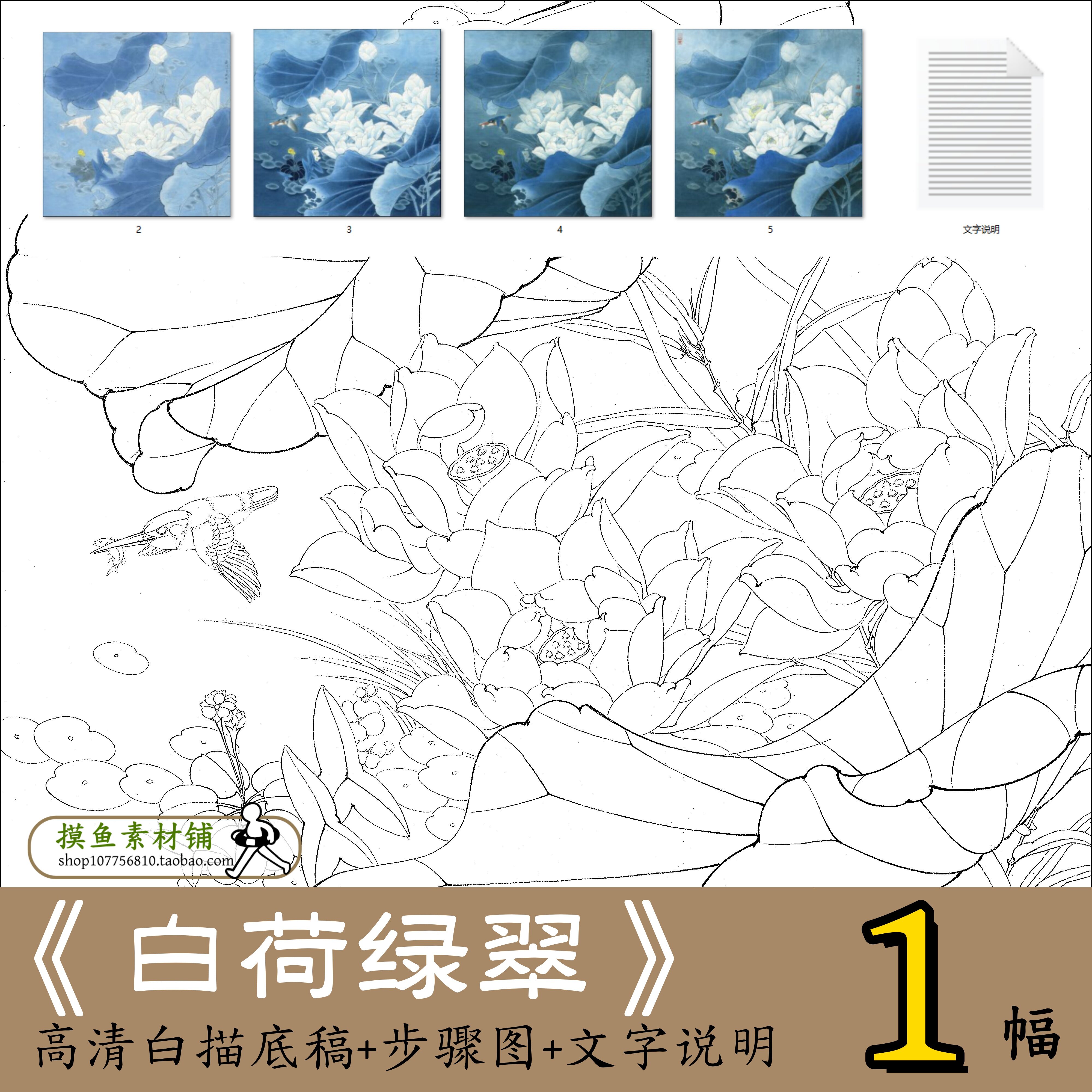 李晓明白荷绿翠图66×66cm高清电子版白描/勾线工笔荷花素材x097