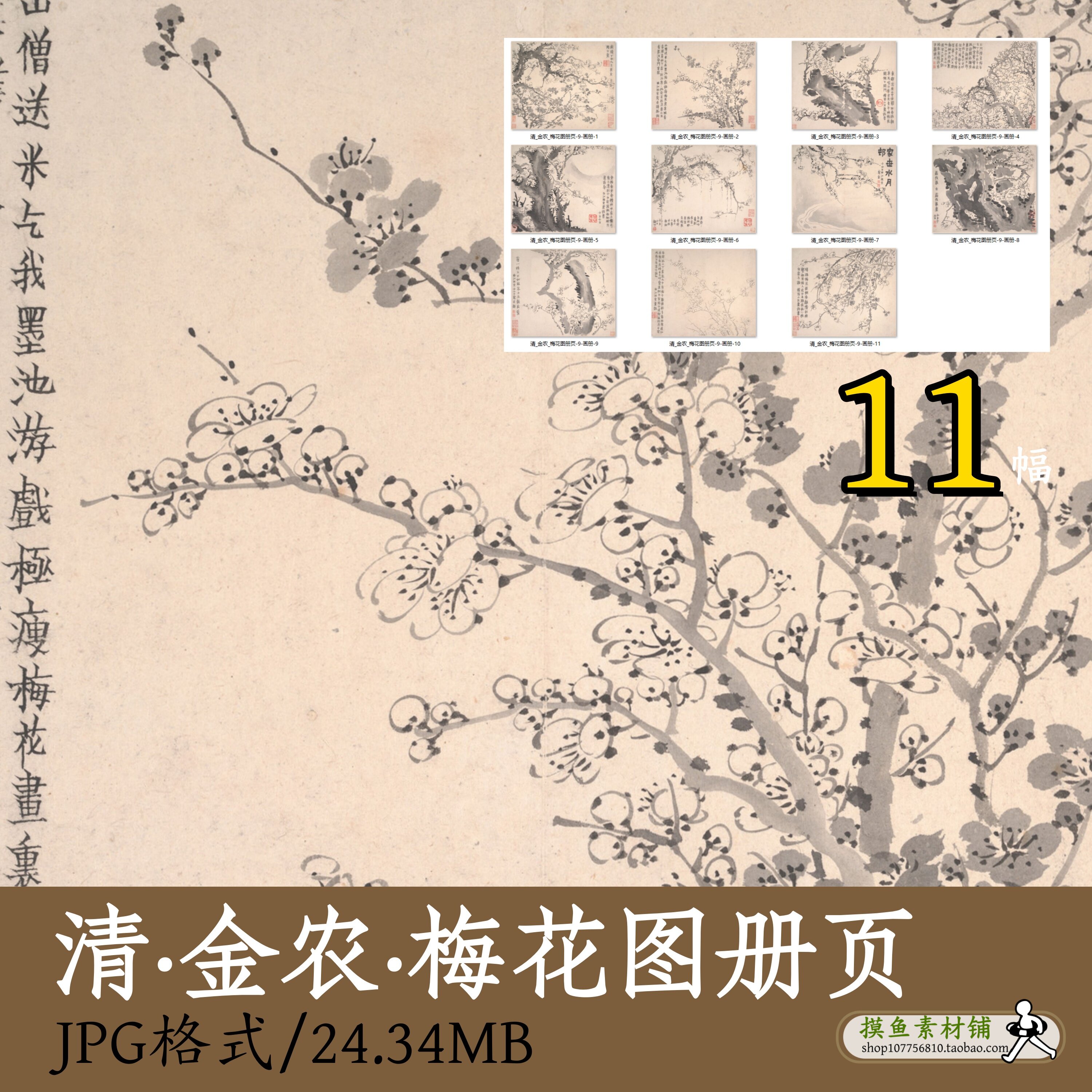 清代金农梅花图册页/工笔写意梅花图写生临摹装饰画电子版Z164