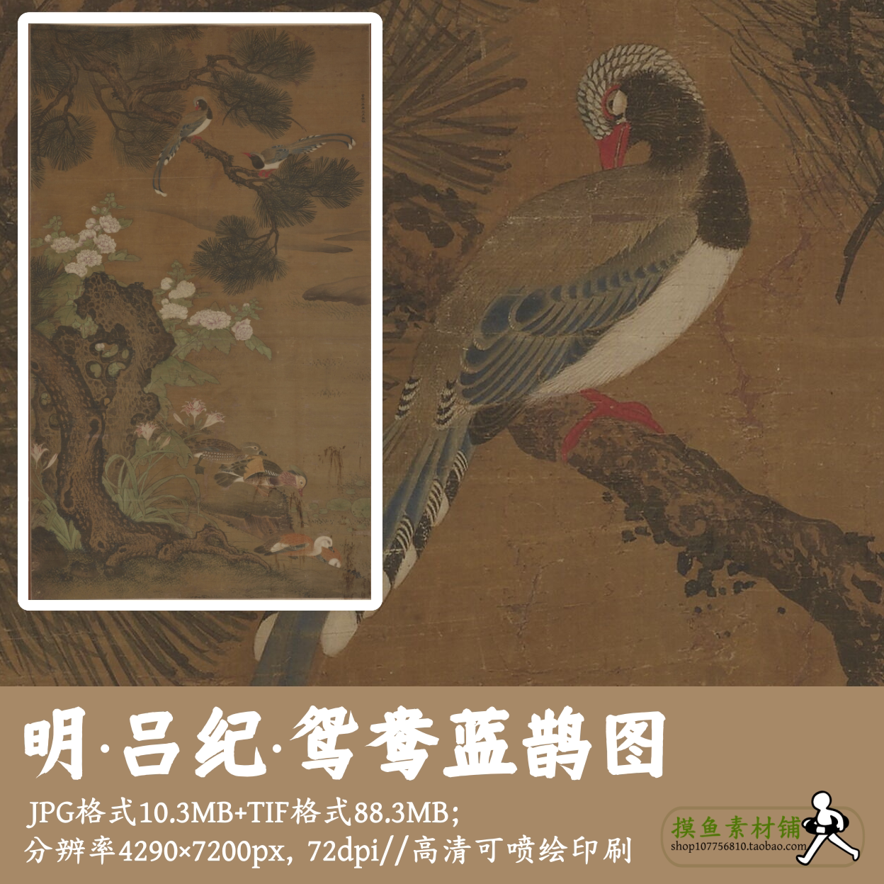 明吕纪/鸳鸯蓝鹊图/中国画工笔花鸟古画原图鸿雁鸳鸯电子版G17024