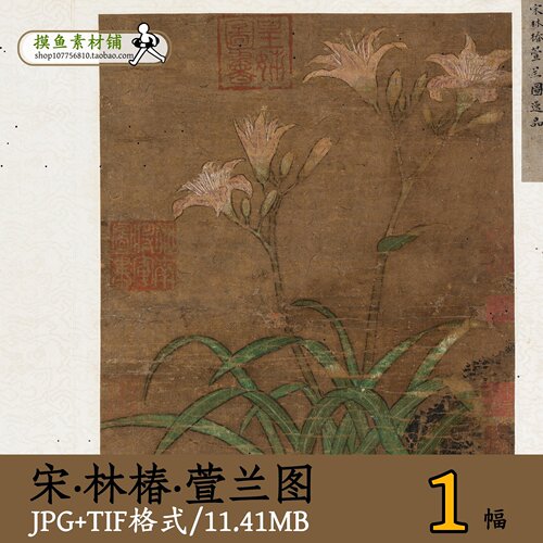 南宋林椿萱兰图/中国画工笔花鸟萱草图tif大图古画原彩图gd13621