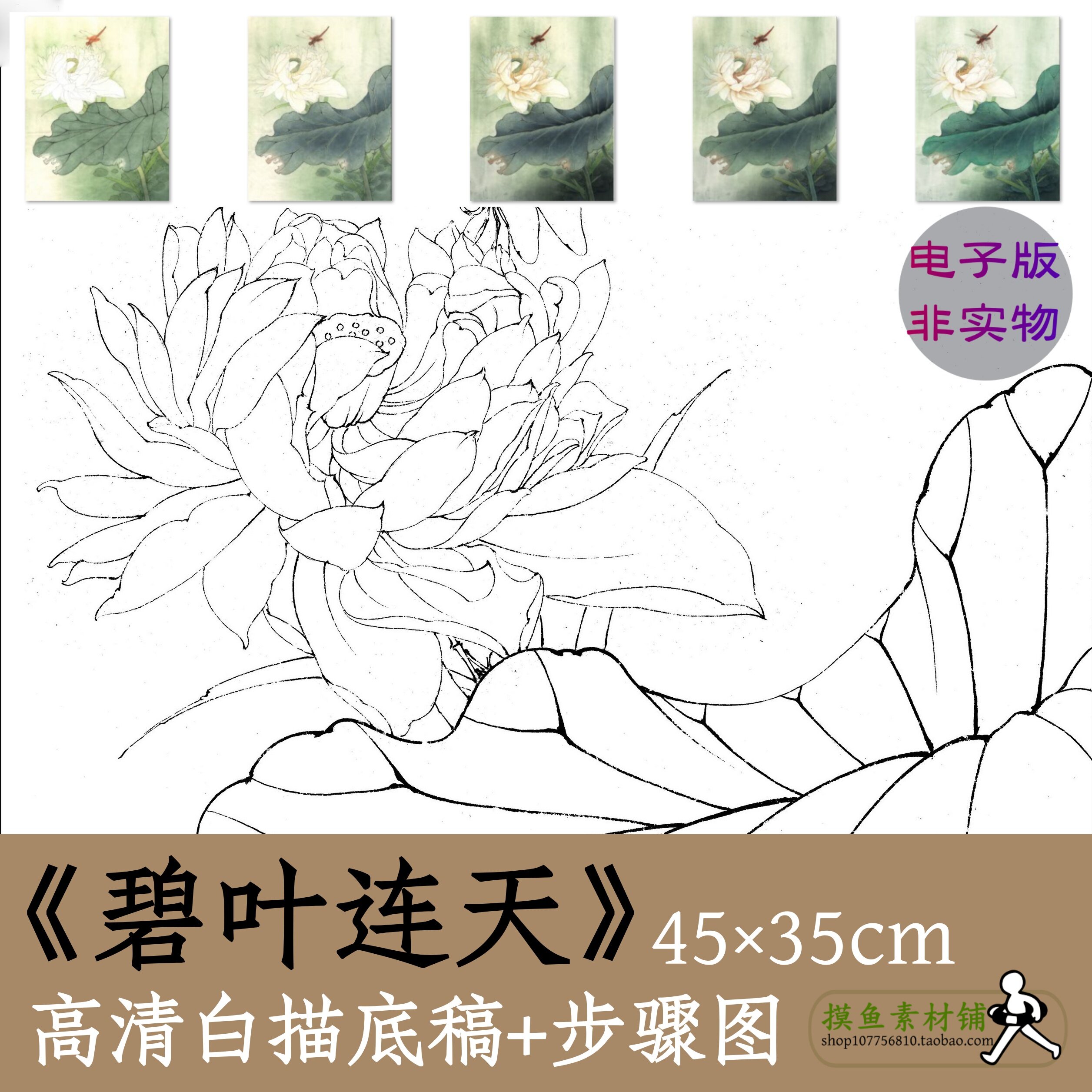 工笔荷花蜻蜓图电子版白描底稿非实物带步骤图国画x175碧叶连天