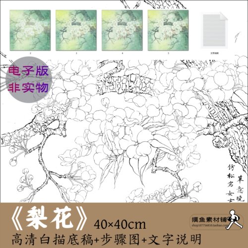 工笔梨花线稿 工笔画花鸟白描底稿/电子版/临摹打印初学者步骤图