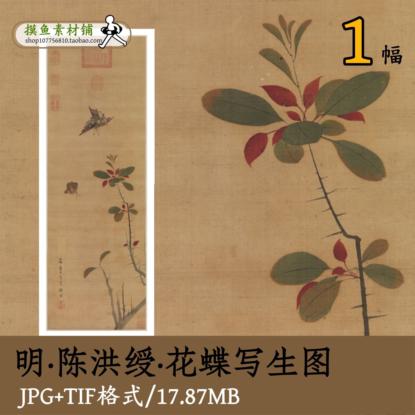 明代陈洪绶花蝶写生图/国画工笔画没骨写生花卉蝴蝶电子版gd10143