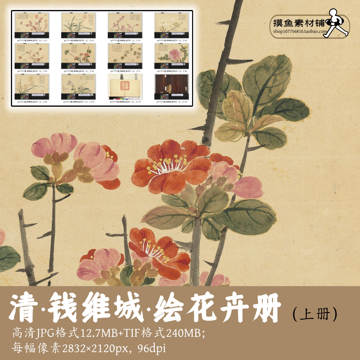 清钱维城绘花卉册/上册/古画原图素材临摹参考国画电子版gd17512