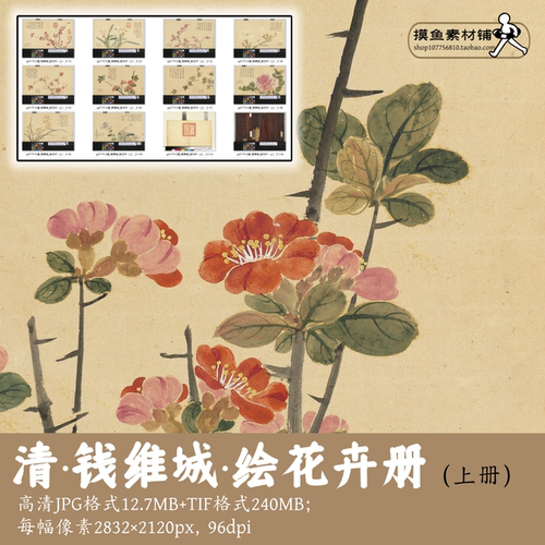 清钱维城绘花卉册/上册/古画原图素材临摹参考国画电子版gd17512