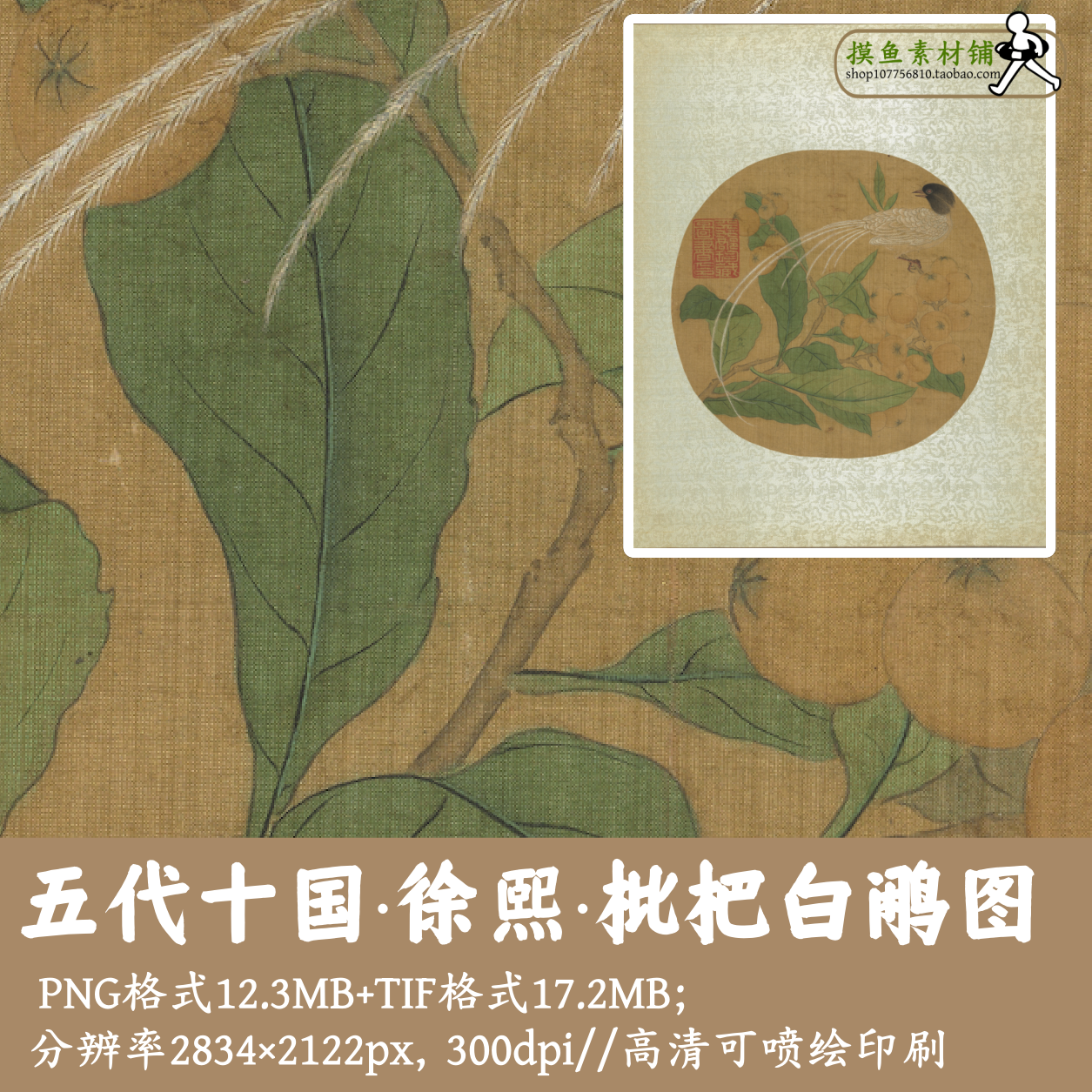 徐熙/枇杷白鹇图/中国画工笔花鸟团扇面镜心绢本设色电子版gd1357