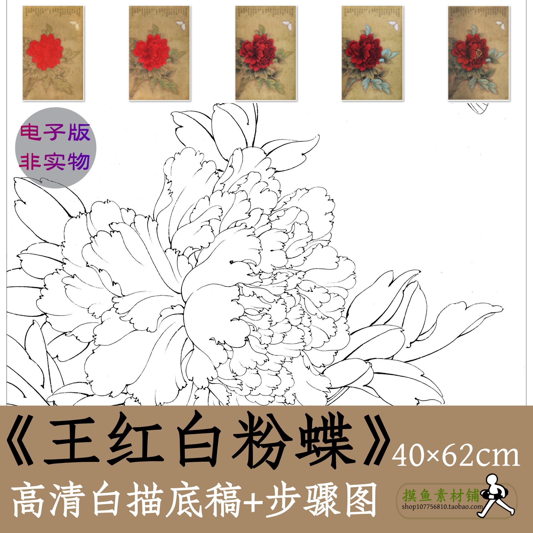 工笔牡丹图电子版白描底稿初学临摹带教程步骤图王红白粉蝶x081