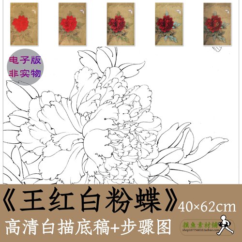 工笔牡丹图电子版白描底稿初学临摹带教程步骤图王红白粉蝶x081