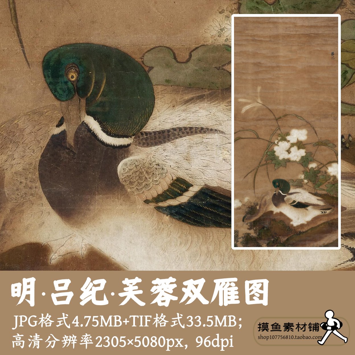 明代吕纪芙蓉双雁图电子版素材古画原图中国画鸿雁图装饰画G17036