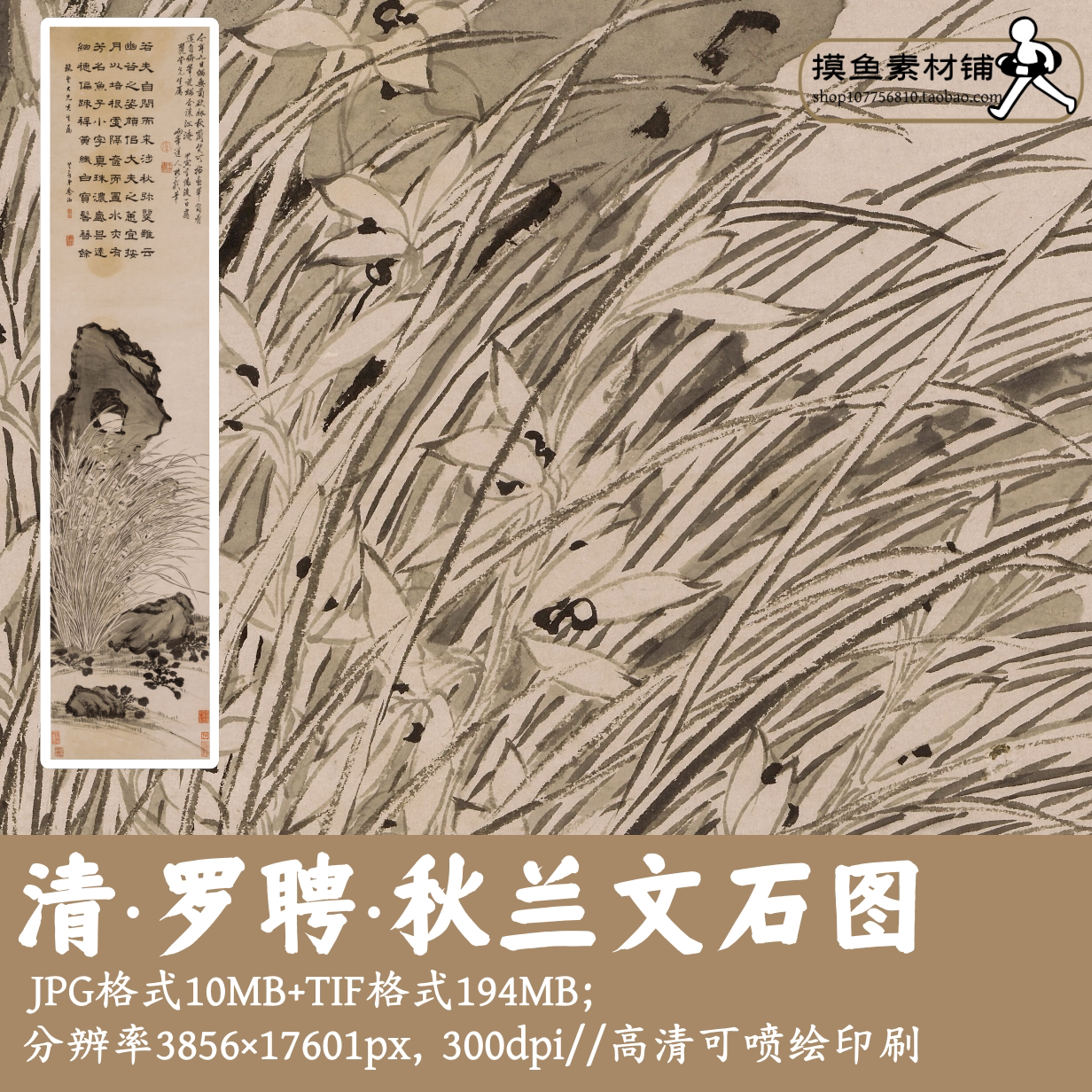 清代罗聘秋兰文石图电子图片篇/中国画兰花图太湖石高清图G17711