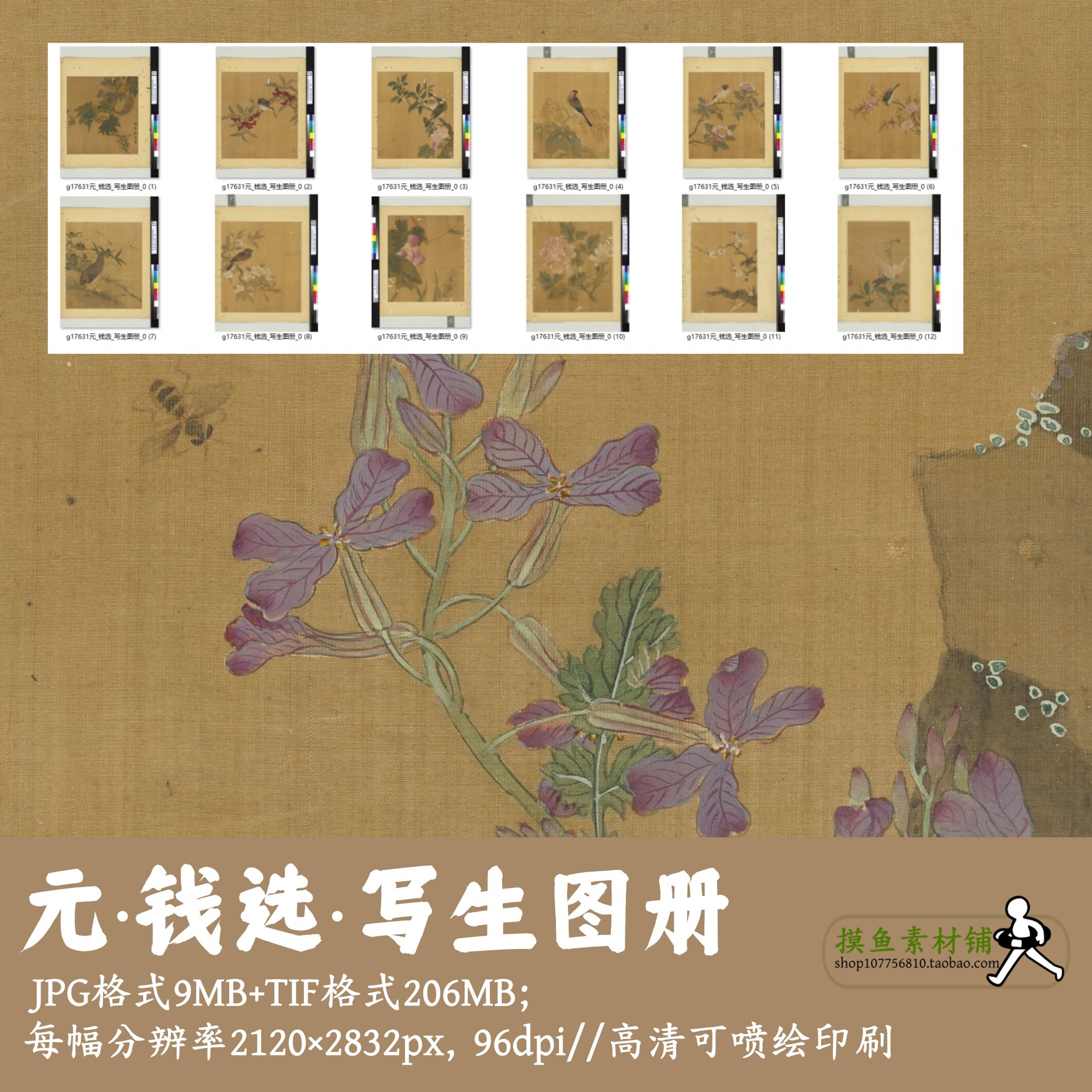 元钱选/写生图册/中国画工笔花鸟画集电子版临摹可喷绘打印g17631