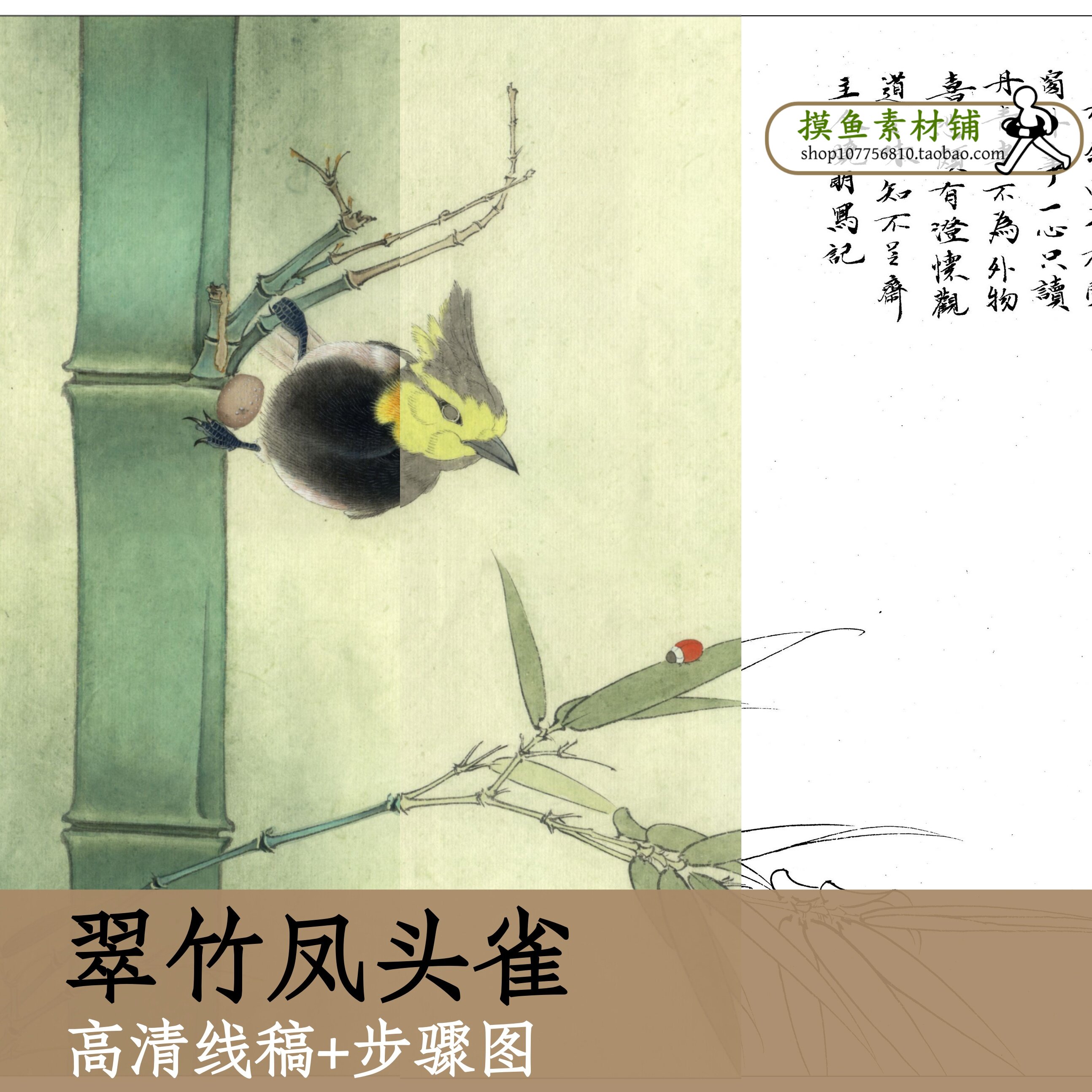 翠竹凤头雀/高清白描线稿+步骤图电子版国画竹子临摹学习参考x213