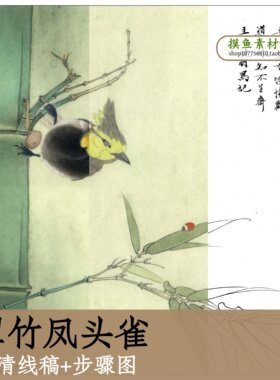 翠竹凤头雀/高清白描线稿+步骤图电子版国画竹子临摹学习参考x213