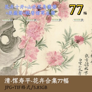 清恽寿平没骨花卉册页合集/小写意花鸟花卉果蔬瓯香馆写生册z114