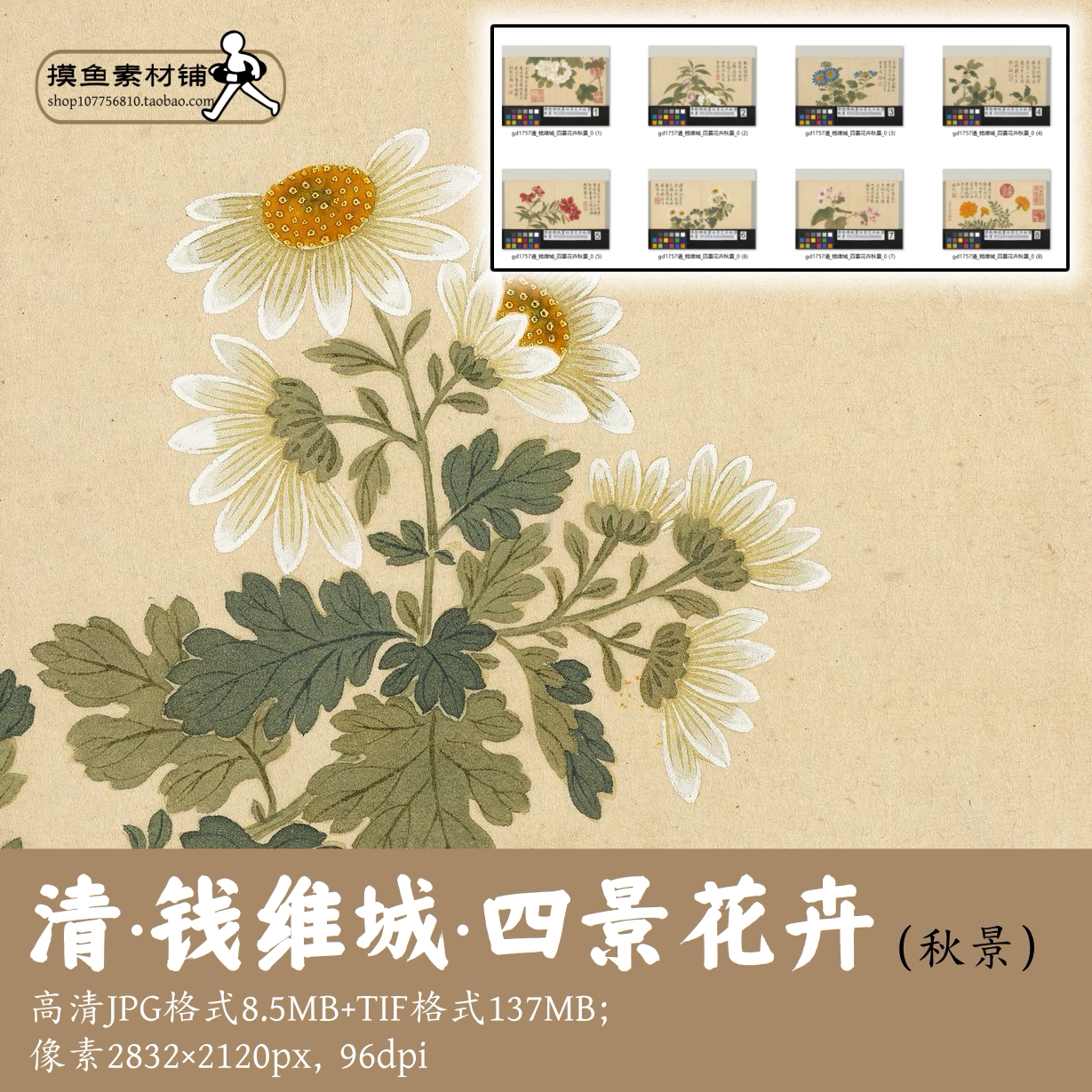 清钱维城四景花卉/秋景/四季花卉植物图鉴高清国画素材原图gd1757