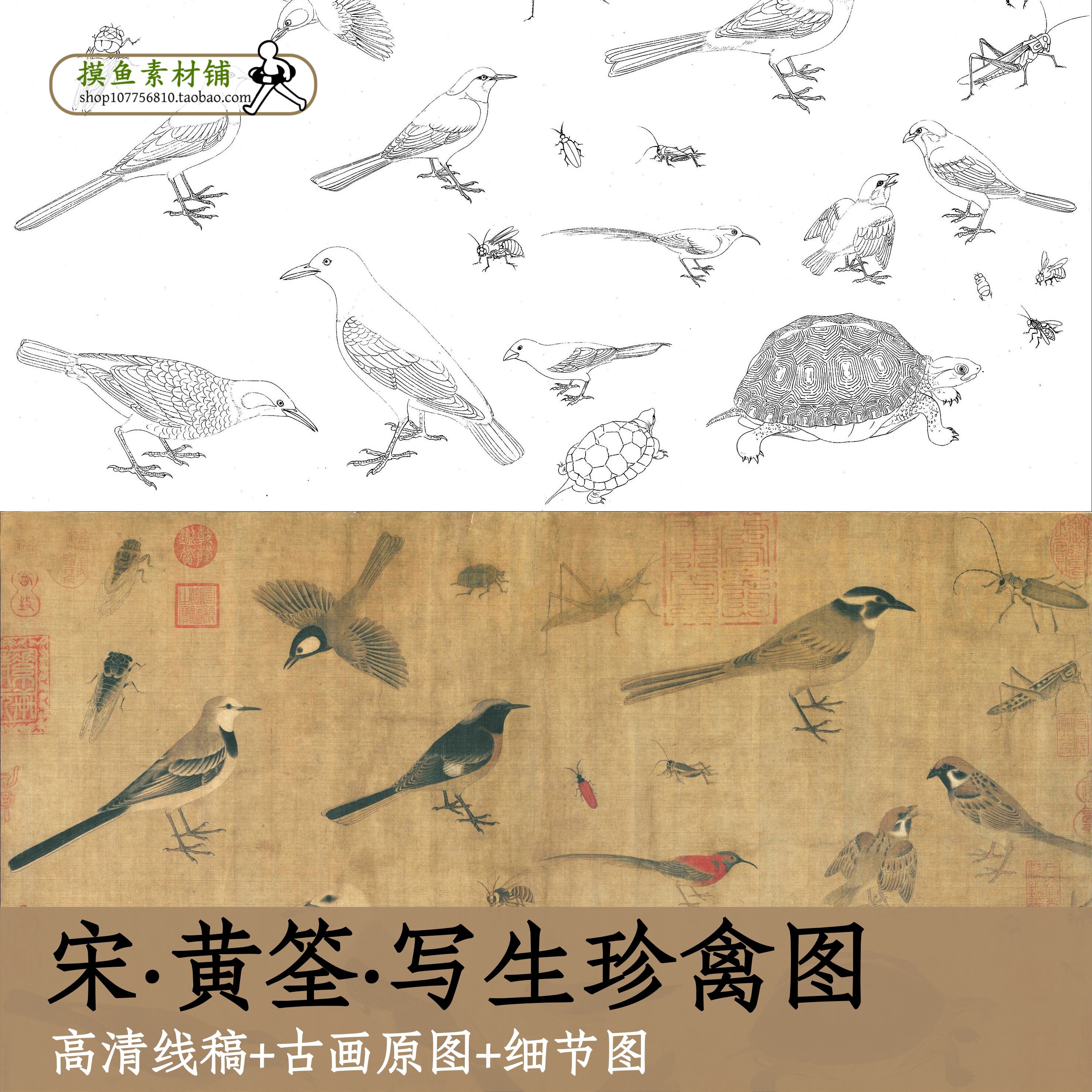 宋画黄筌写生珍禽图电子线稿+彩图/高清白描临摹初学电子版x142