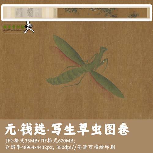 元钱选/写生草虫图卷/高清古画长卷花鸟草虫图电子版素材gd17612