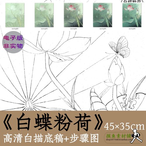 工笔荷花白描电子图片x005《白蝶粉荷