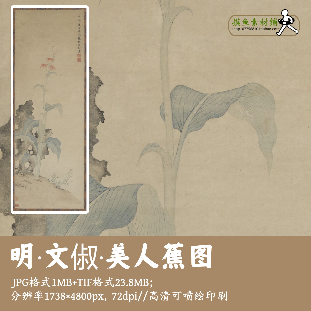 明文俶/美人蕉图/工笔花鸟立轴装饰挂画电子版画芯临摹素材G1788