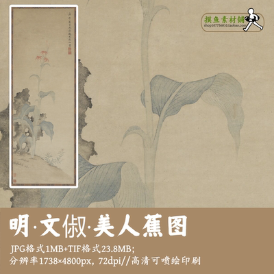 明文俶/美人蕉图/工笔花鸟立轴装饰挂画电子版画芯临摹素材G1788