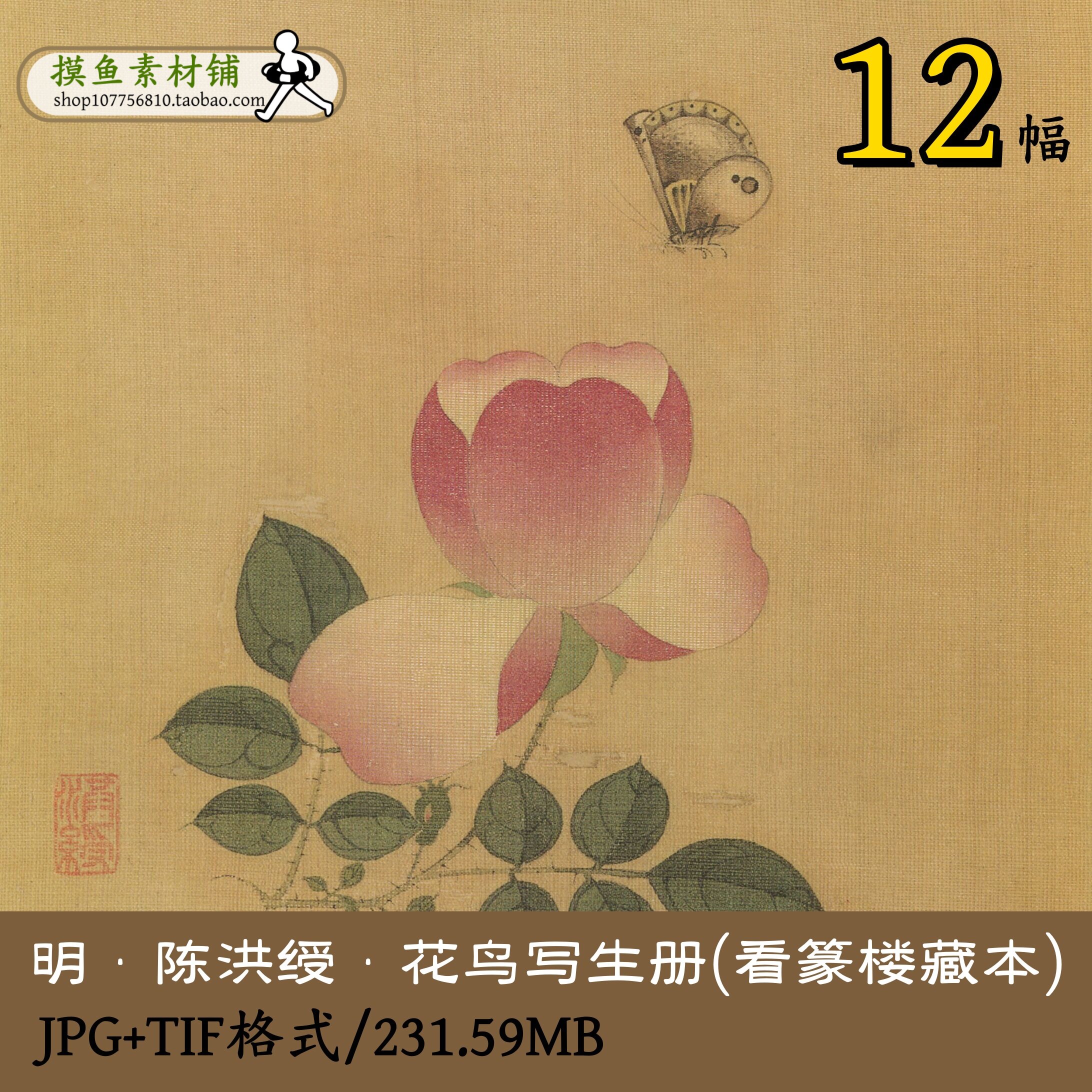 明陈洪绶花鸟写生册(看篆楼藏本)名画册页画集工笔花鸟图gd10110