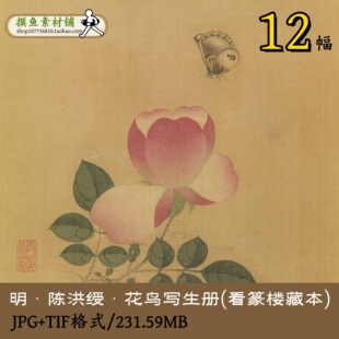 明陈洪绶花鸟写生册(看篆楼藏本)名画册页画集工笔花鸟图gd10110