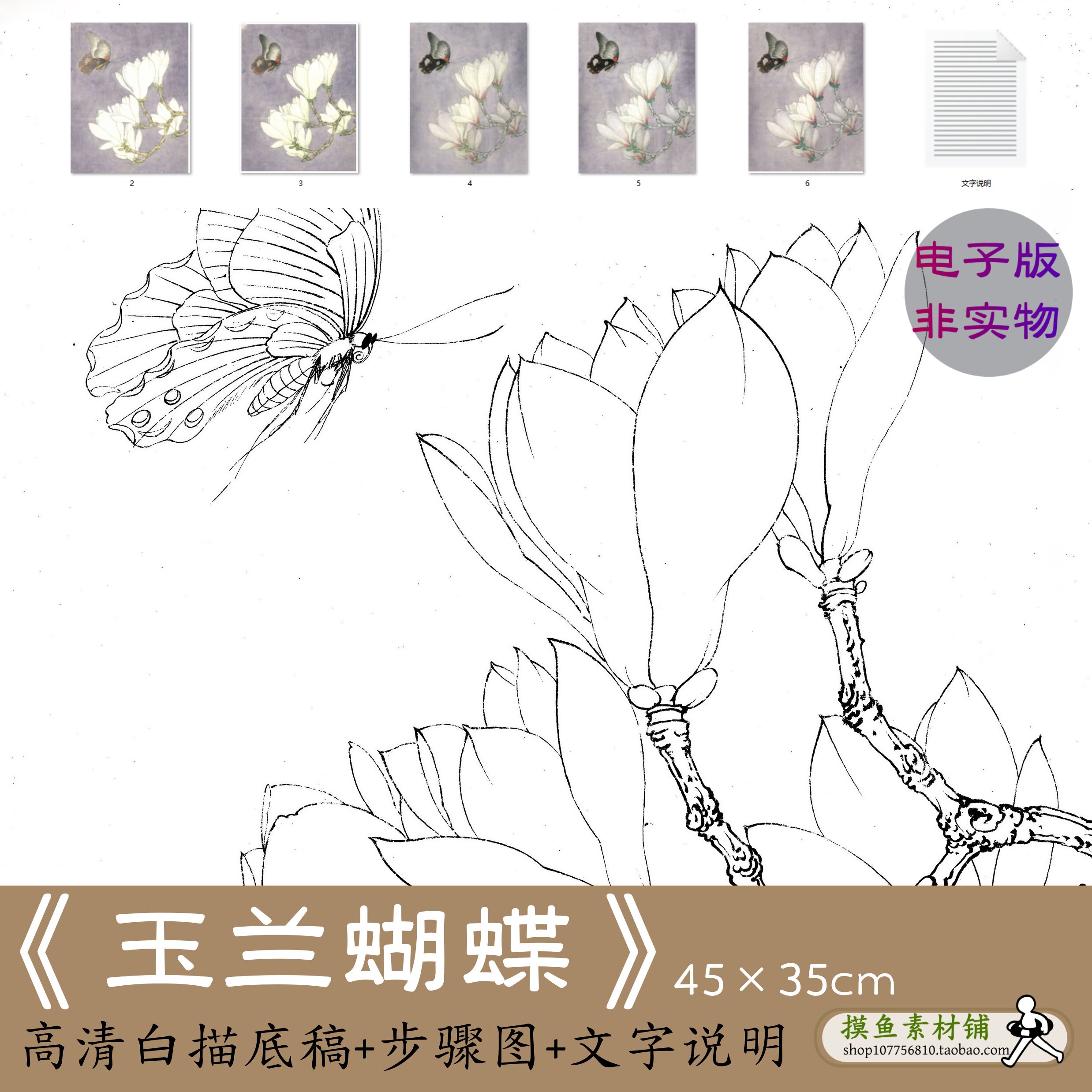 国画工笔花鸟高清白描底稿电子版 玉兰蝴蝶写生临摹素材图初学者
