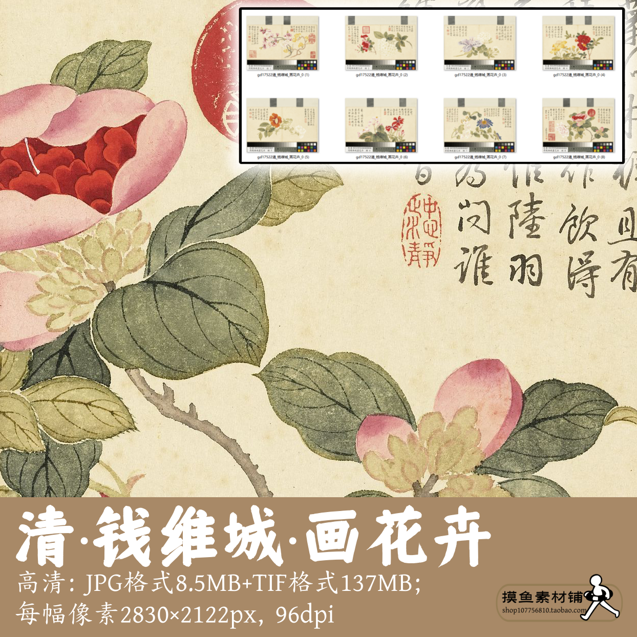 清钱维城/画花卉册页/中国画写生植物花卉图绣球萱草山茶gd17522
