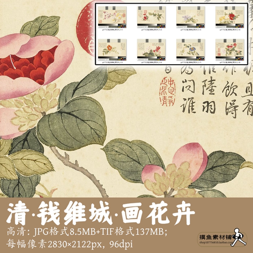 清钱维城/画花卉册页/中国画写生植物花卉图绣球萱草山茶gd17522
