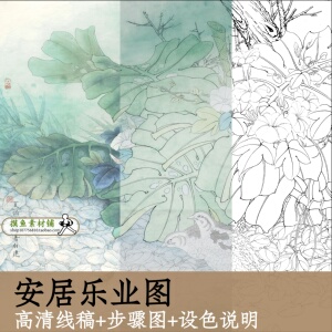 安居乐业图/高清白描底稿+步骤图+设色说明/电子版工笔鹌鹑图x100