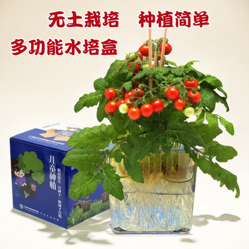 多功能水培根系观察种植盒子