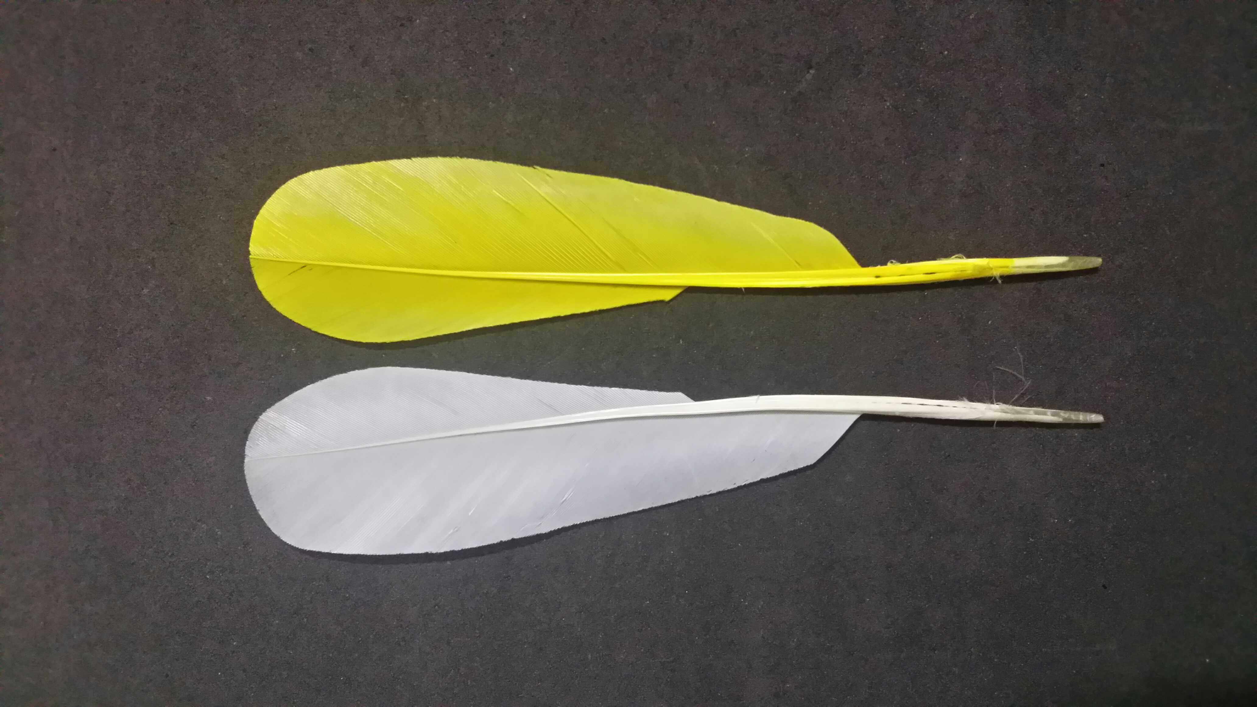 【毽羽飞】尖毛单片尖毛南派花毽尖毛白鸽毛毽子