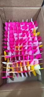 【见羽飞】尖毛 尖毛毽南派花毽白鸽毛特大毛修剪而成 不易散