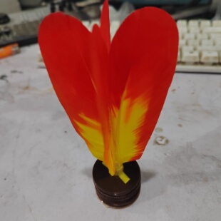 【见羽飞】南派花毽大鼓皮底棕色爆炸片清脆响亮防水不易裂