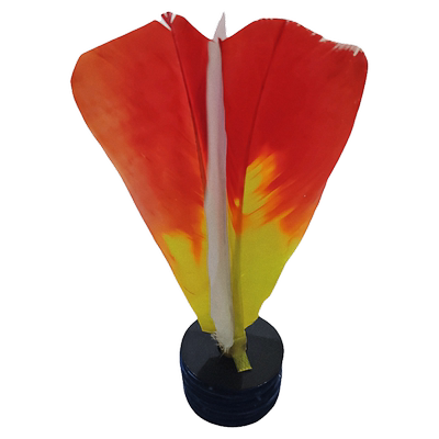 【毽羽飞】猪皮毽南派白鸽鸽毛