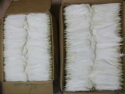 【见羽飞】老鸽毛 白鸽毛 白鸽尾巴毛 南派花毽毛