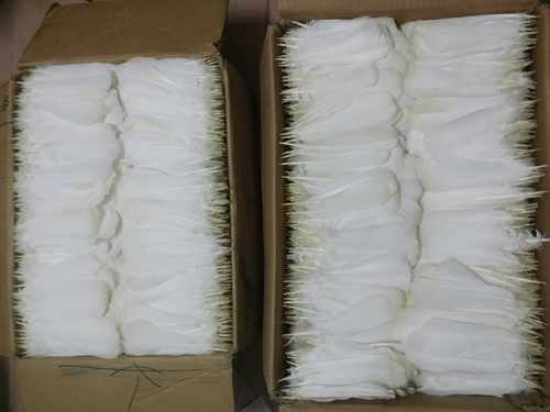 【毽羽飞】老鸽毛 白鸽毛 白鸽尾巴毛 南派花毽毛