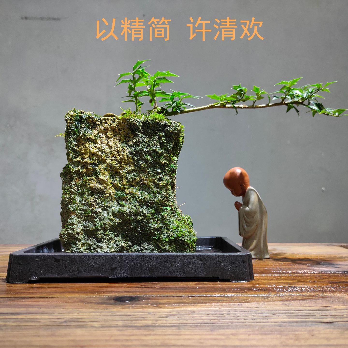 菖蒲附石吸水石小盆景盆栽苔藓蕨类植物微景观室内水培好养禅意