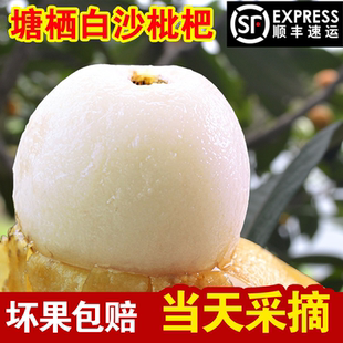 产地正宗杭州塘栖白沙枇杷孕妇新鲜水果塘西白玉琵琶果软条礼盒