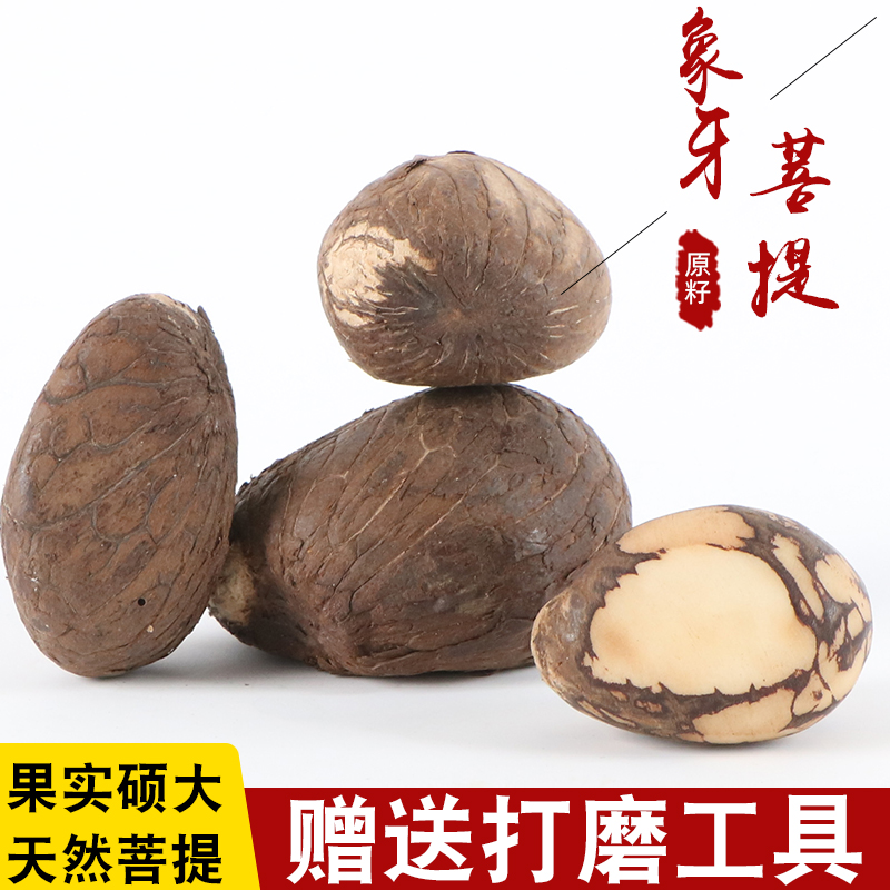 天然象牙果原籽大中小果雕刻