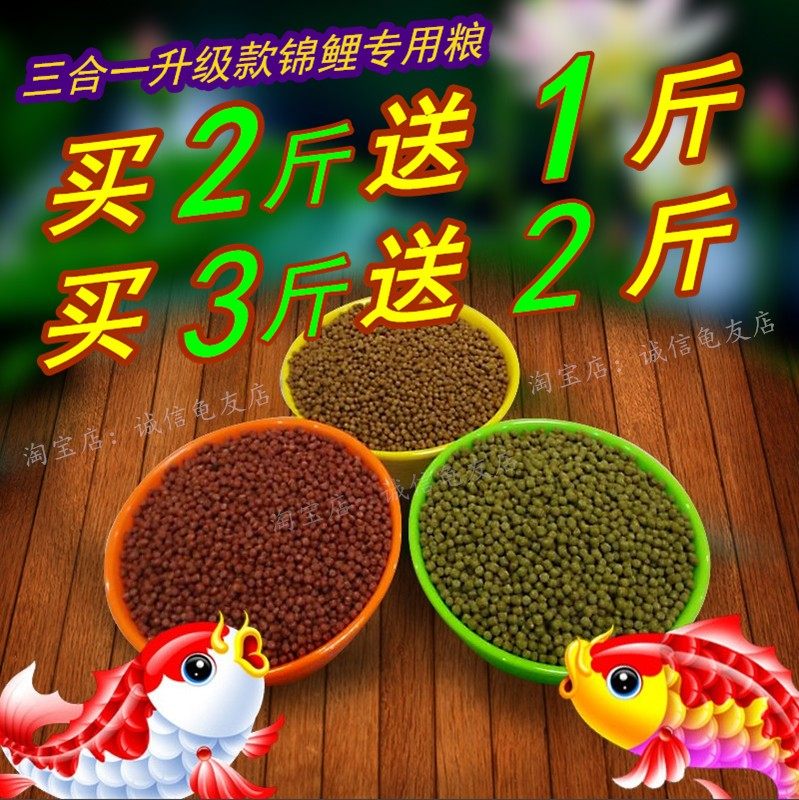 锦鲤鱼食鱼饲料 高蛋白金鱼观赏小型鱼增红鱼粮黄鳝鱼饲料小颗粒